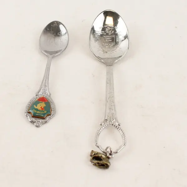 Lot of 2 Wyoming Souvenir Spoons Bucking Bronc Charm Collectible