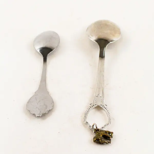 Lot of 2 Wyoming Souvenir Spoons Bucking Bronc Charm Collectible