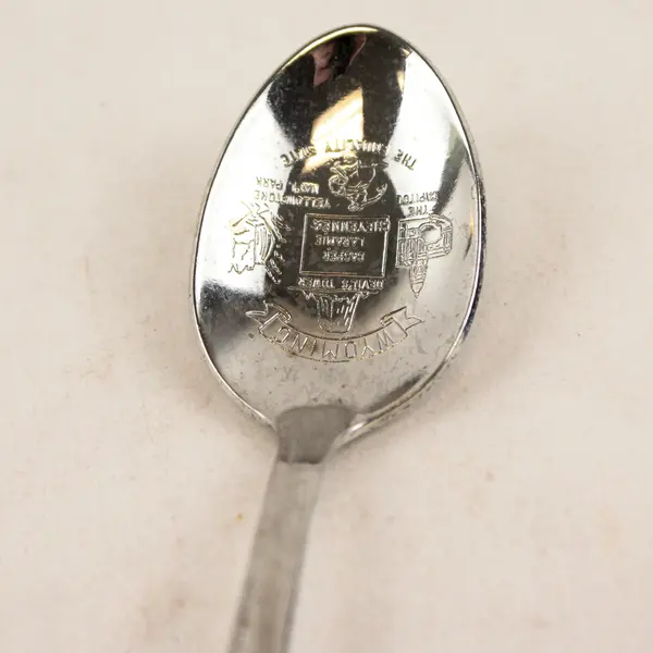 Lot of 2 Wyoming Souvenir Spoons Bucking Bronc Charm Collectible