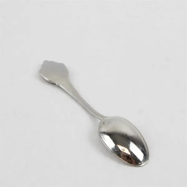 Vintage Wisconsin Enamel Souvenir Spoon Collectible 3 in