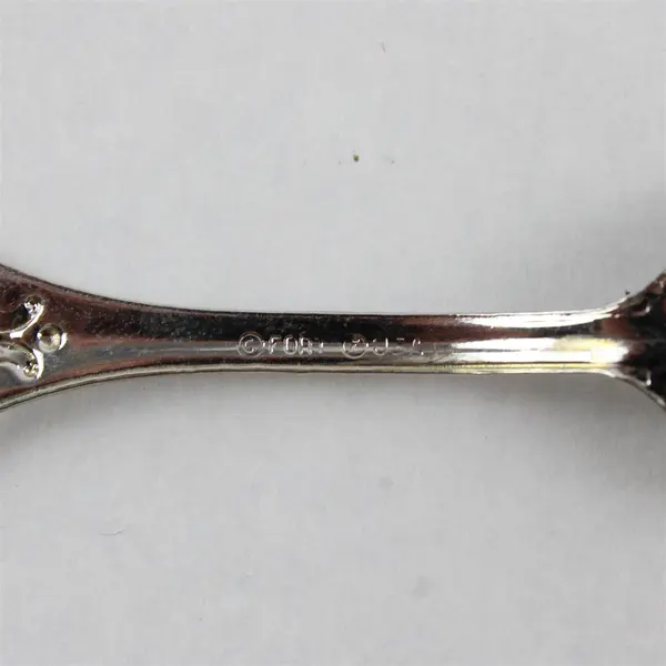 Vintage Arkansas Razorback Souvenir Spoon White Enamel State Charm