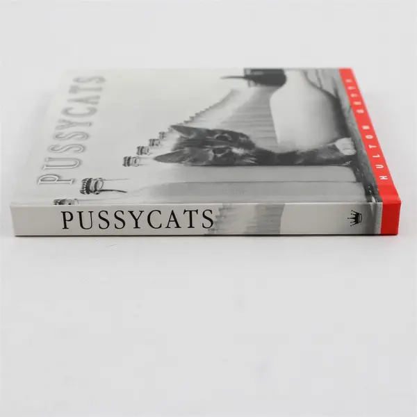  Pussycats by Hulton Getty Hallmark Gift Book, Hardcover 2019