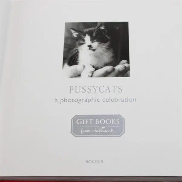  Pussycats by Hulton Getty Hallmark Gift Book, Hardcover 2019