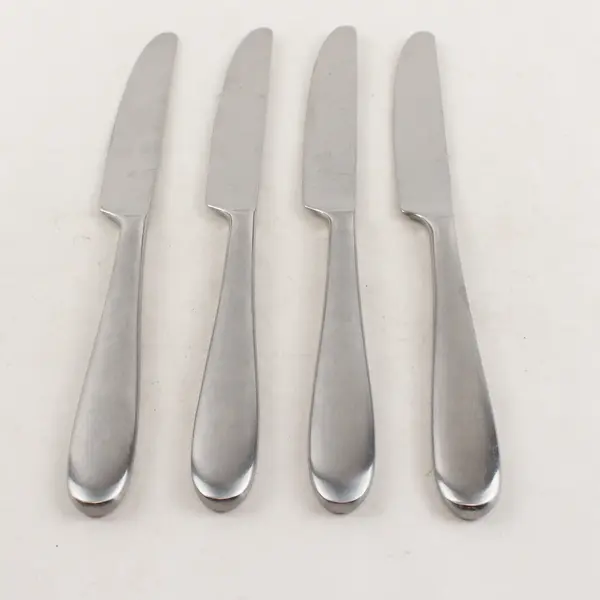 Lot of 4 Argent Flatware Stainless Steel Glossy 9 in. Knives with Satin Handle