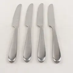 Lot of 4 Argent Flatware Stainless Steel Glossy 9 in. Knives with Satin Handle