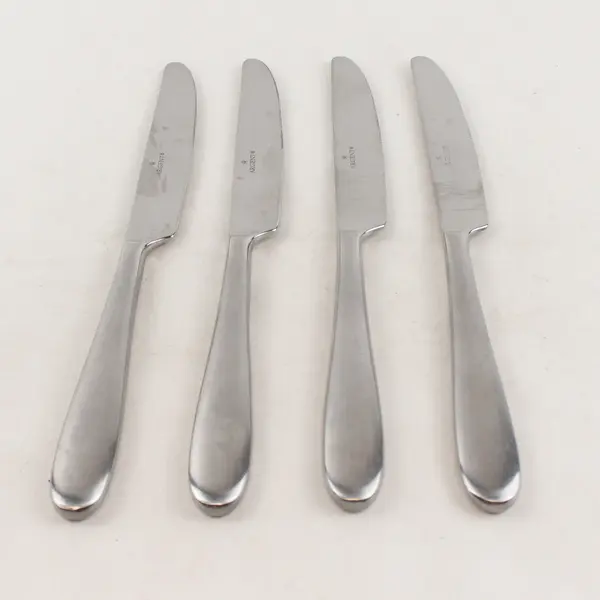 Lot of 4 Argent Flatware Stainless Steel Glossy 9 in. Knives with Satin Handle