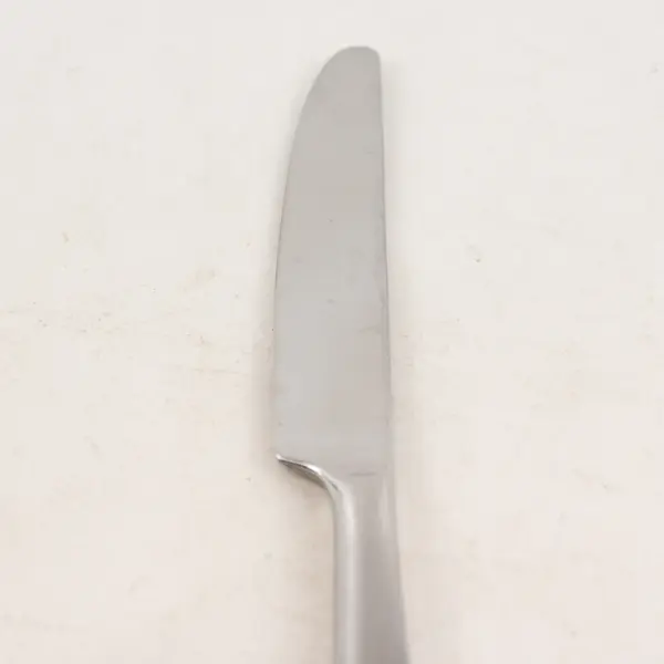 Lot of 4 Argent Flatware Stainless Steel Glossy 9 in. Knives with Satin Handle