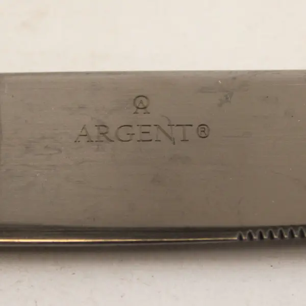 Lot of 4 Argent Flatware Stainless Steel Glossy 9 in. Knives with Satin Handle