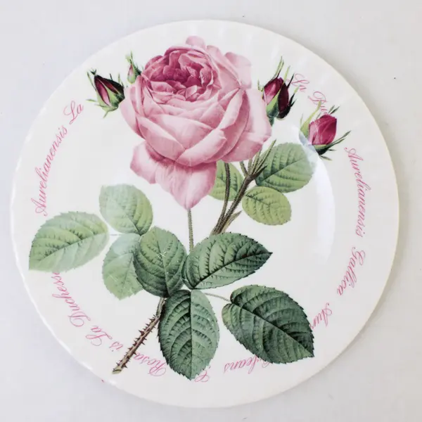 Roy Kirkham Fine Bone China Pink Rose Salad/Dessert Plate 8.25in