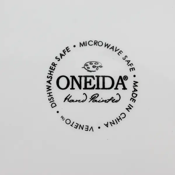 Oneida  Hand Painted Veneto Stoneware Dinner Plate 11” 