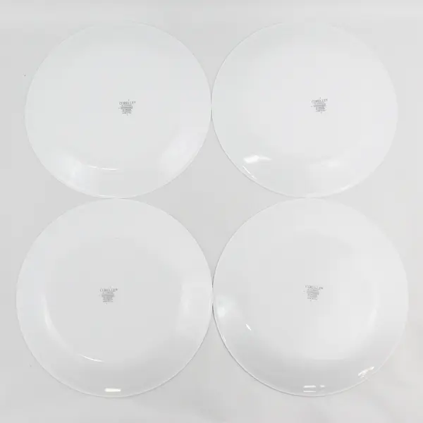 Set of 4 Corelle Rosemarie 10.25" Dinner Plates