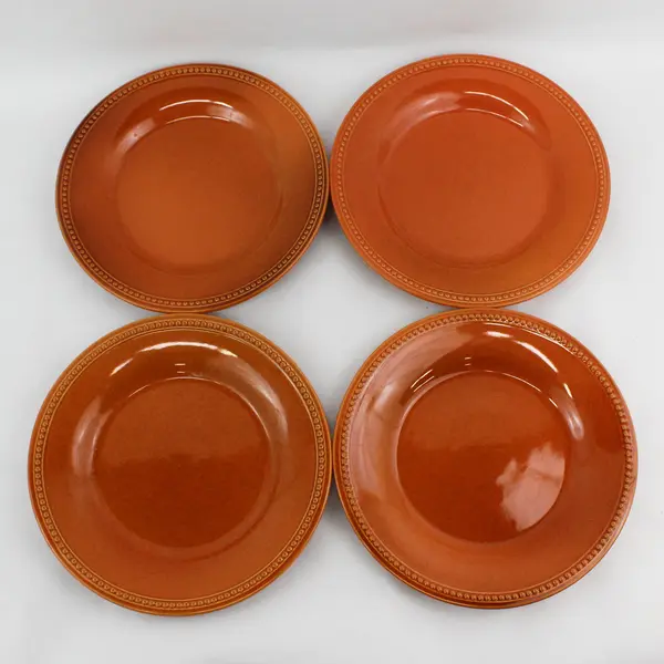 Set Of 4 Pier 1 Nutmeg Stoneware  Dinner Plates Raised Beaded Border 10.75"