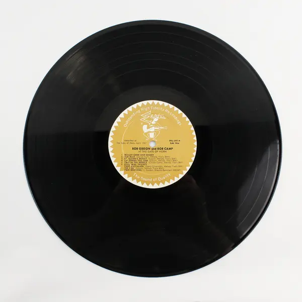 Bob Gibson & Camp At The Gate Of Horn 12" Vinyl Record