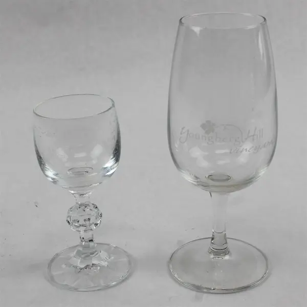 Lot of 2 Bohemia Crystal 'Claudia' Cordial Glasses - Youngberg Hill Promo