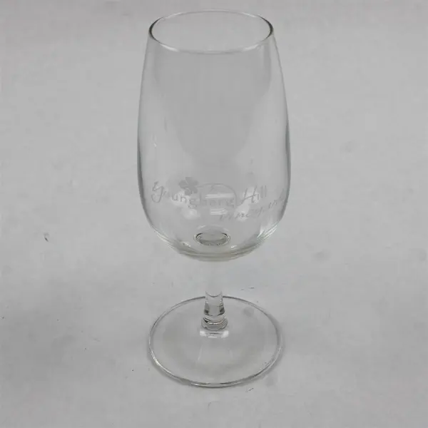 Lot of 2 Bohemia Crystal 'Claudia' Cordial Glasses - Youngberg Hill Promo