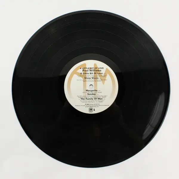 Paul Williams A Little Bit of Love 12" Vinyl Record