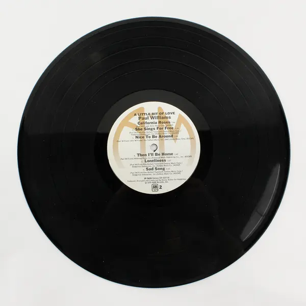 Paul Williams A Little Bit of Love 12" Vinyl Record