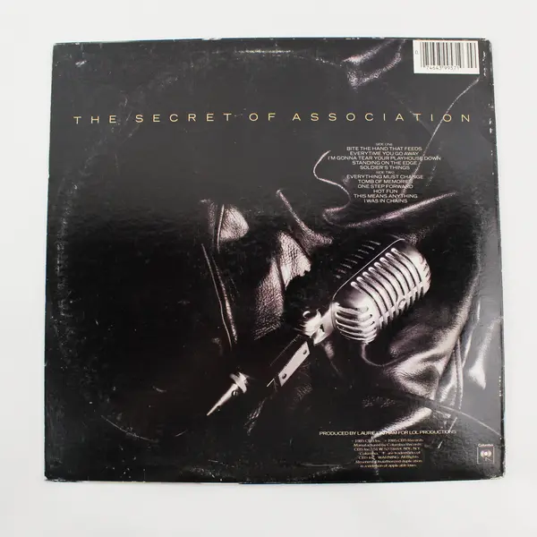 Paul Young – The Secret Of Association - 12" Vinyl Record 