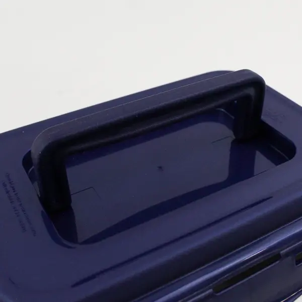 Lock & Lock Blue/Clear Plastic Rectangle Storage Container With Handle 8.5" Long