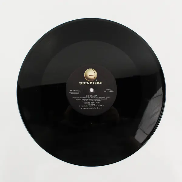 Ric Ocasek True To You 12" Vinyl Record