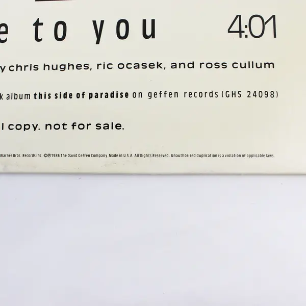 Ric Ocasek True To You 12" Vinyl Record