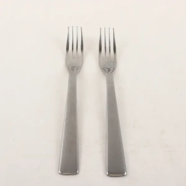 Set of 2 Studio William Baobab Stainless Individual Salad Forks