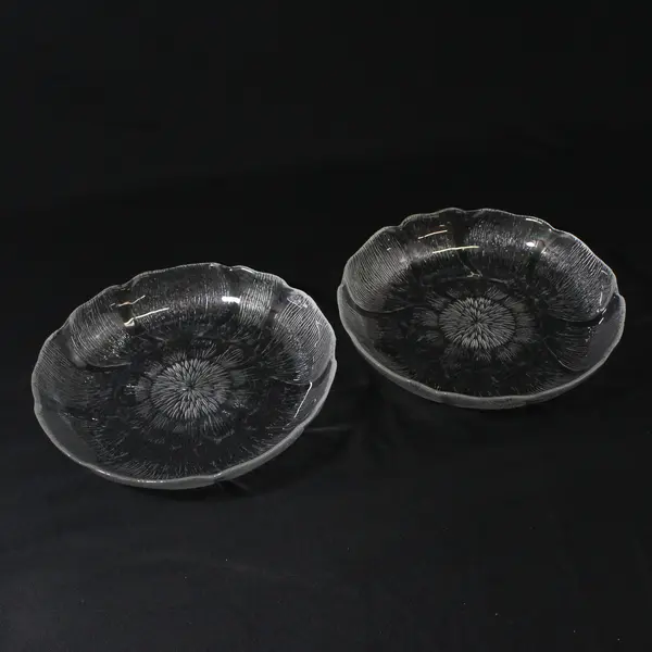 Set of 2 Arcoroc Fleur Clear Glass Coupe Bowls 8"