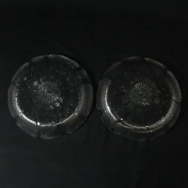 Set of 2 Arcoroc Fleur Clear Glass Coupe Bowls 8"
