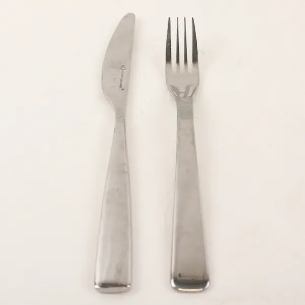Lot of 2 Studio William Cassia Stainless Fork & Modern Solid Knife