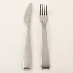 Lot of 2 Studio William Cassia Stainless Fork & Modern Solid Knife