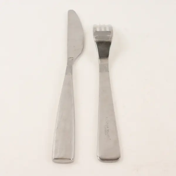 Lot of 2 Studio William Cassia Stainless Fork & Modern Solid Knife