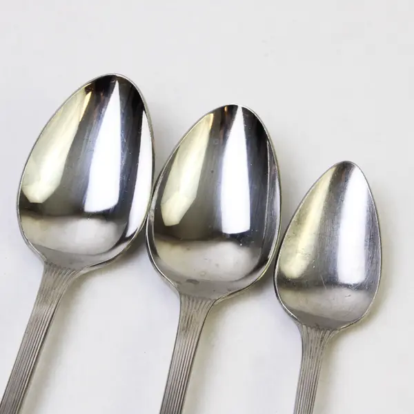 3 PC Set of Reed & Barton Bretton Woods-Shell Stainless Steel Spoons