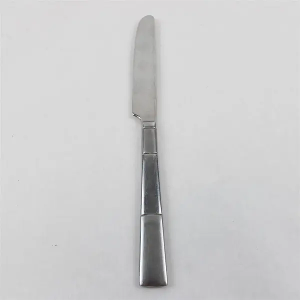 Lot of 6 Oneida Silver Echo Pattern 18/10 Stainless Dinner Knives 9.38" Good