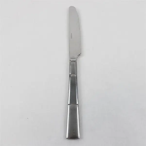 Lot of 6 Oneida Silver Echo Pattern 18/10 Stainless Dinner Knives 9.38" Good
