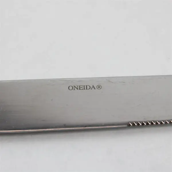 Lot of 6 Oneida Silver Echo Pattern 18/10 Stainless Dinner Knives 9.38" Good