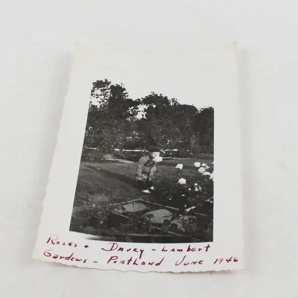 Little Boy With Roses Lambert Gardens Portland Oregon June 1946 Photo