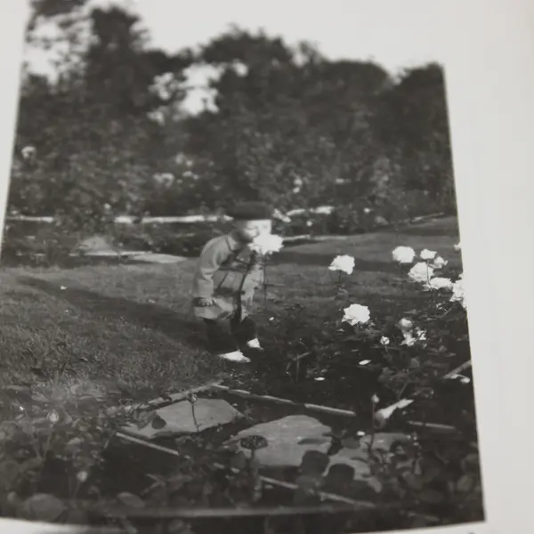 Little Boy With Roses Lambert Gardens Portland Oregon June 1946 Photo