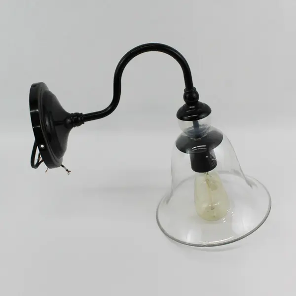 Tamrion Black Metal 1-light Wall Sconces Clear Glass Shade with Edison Bulb