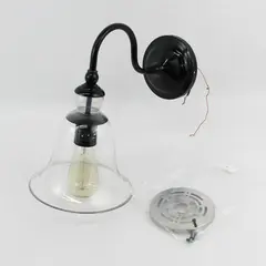 Tamrion Black Metal 1-Light Wall Sconce Clear Glass Shade with Edison Bulb