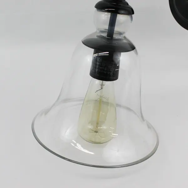 Tamrion Black Metal 1-Light Wall Sconce Clear Glass Shade with Edison Bulb