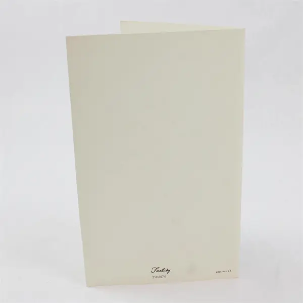 Vintage Fantusy Birthday Greeting Card with Envelope UNUSED