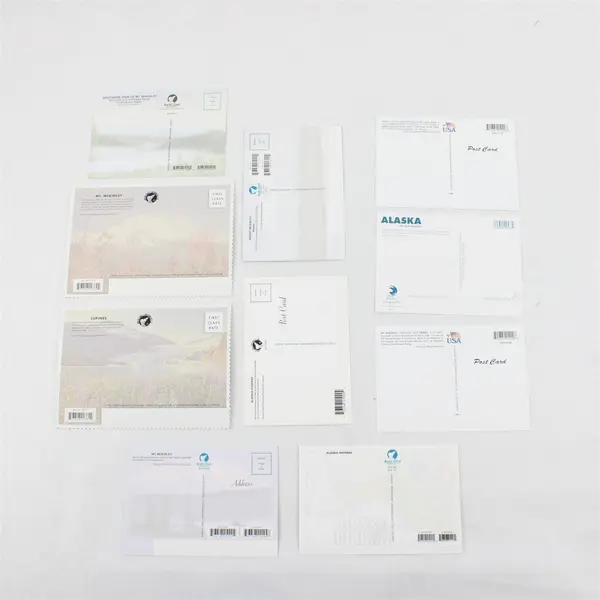 Lot of 10 Alaska USA Topographical Postcards UNPOSTED