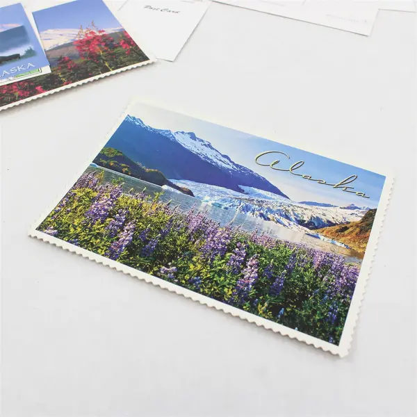 Lot of 10 Alaska USA Topographical Postcards UNPOSTED