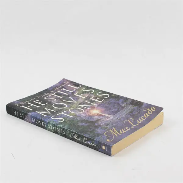 Everyone Needs a Miracle: He Still Moves Stones - Max Lucado 1999 Paperback