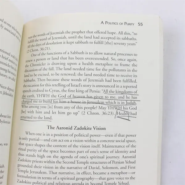 Priesthood in Ancient Israel William R. Millar 2001 Paperback