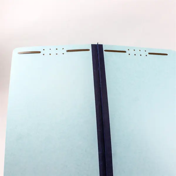 Lot of 31 File Folders - 17 Olive Hanging & 14 Two-Tone Blue Regular