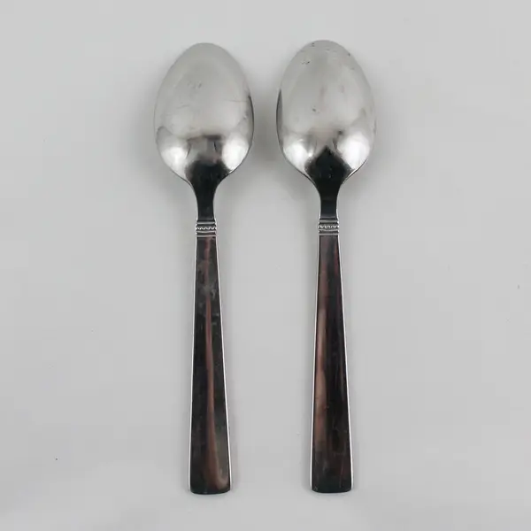 2 Nicole Miller Green Tea Pattern 18/10 SS Oval Soup Spoons 7" Rare HTF Item