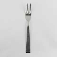 Nirosta Flatware Rhine Pattern Stainless Dinner Fork 8.25" Rare HTF Pattern Good