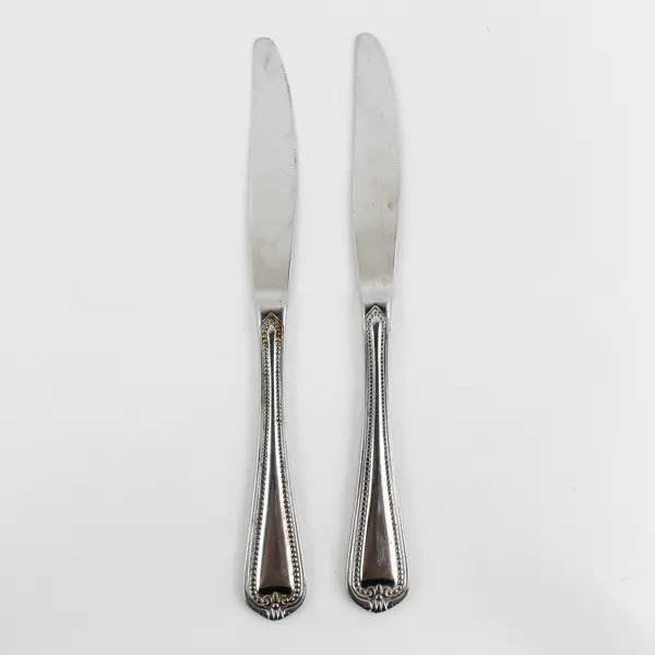 Lot of 2 Oneida Silver Southwyck Pattern Stainless 18% Chrome Dinner Knives 9.5"