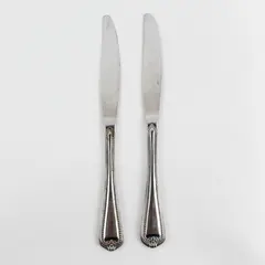 Lot of 2 Oneida Silver Southwyck Pattern Stainless 18% Chrome Dinner Knives 9.5"